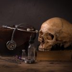 still life human skull