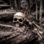 serial killer books