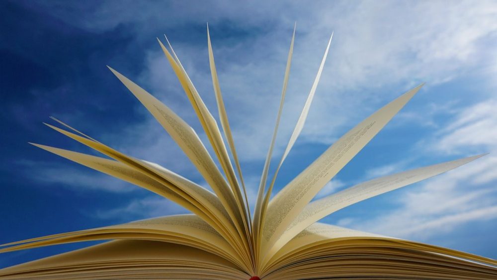 what is a standalone book