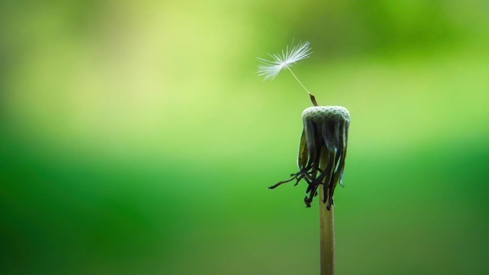Acts of Kindness