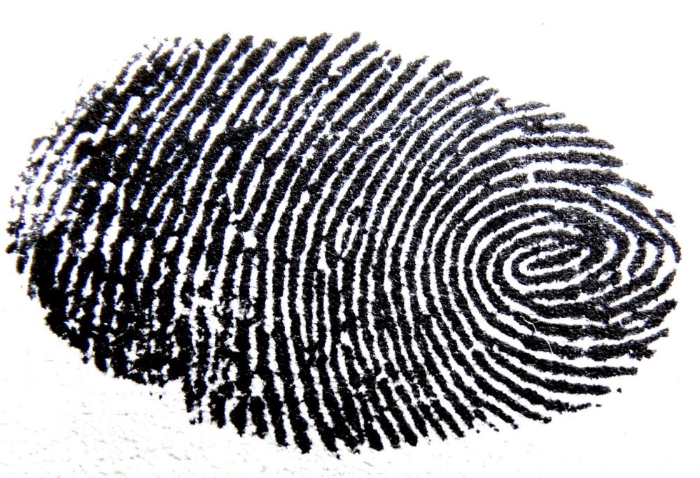 amateur detective small town mystery