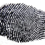amateur detective small town mystery