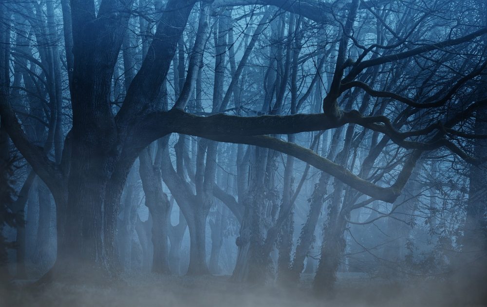 the best serial killer thriller books