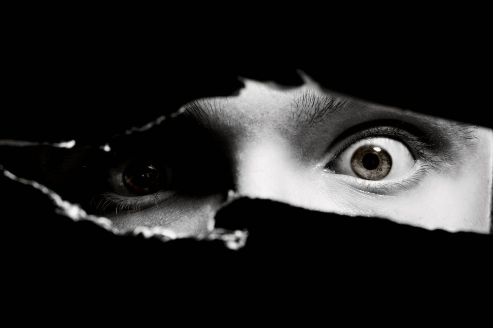 Differences: Crime Thrillers vs. Psychological Thrillers