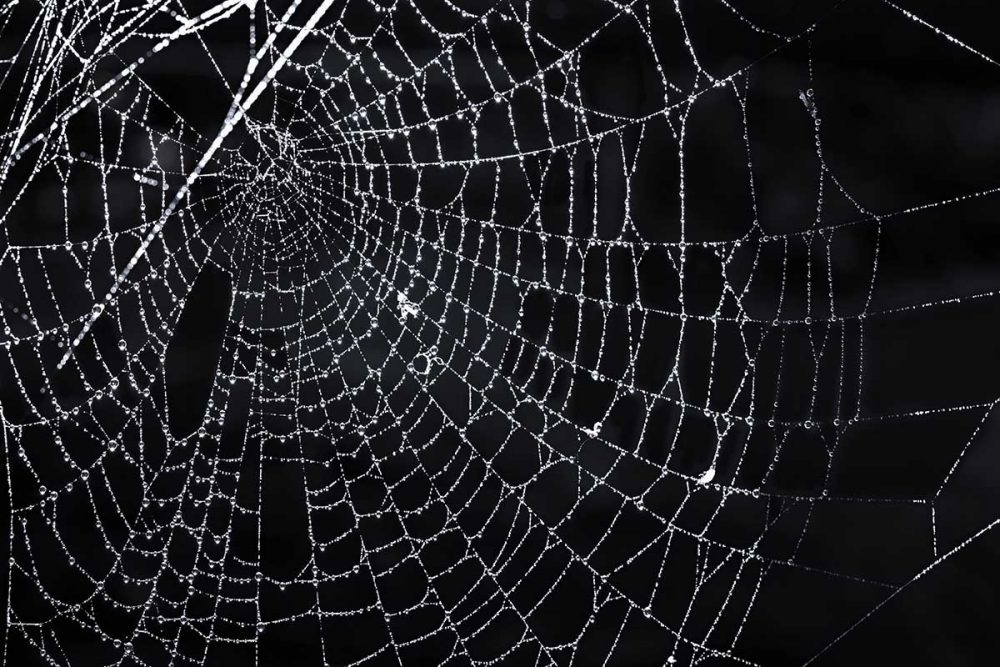 the top dark crime thriller series to start reading