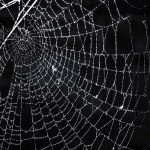 the top dark crime thriller series to start reading